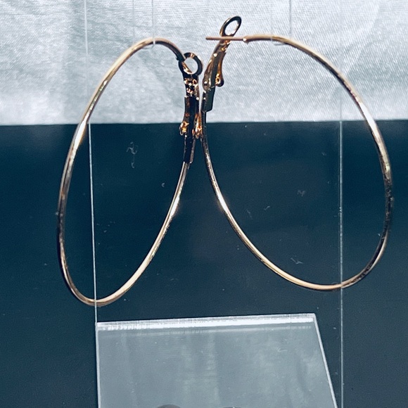 Fashion Jewelry Jewelry - Fashion Jewelry hoop earrings